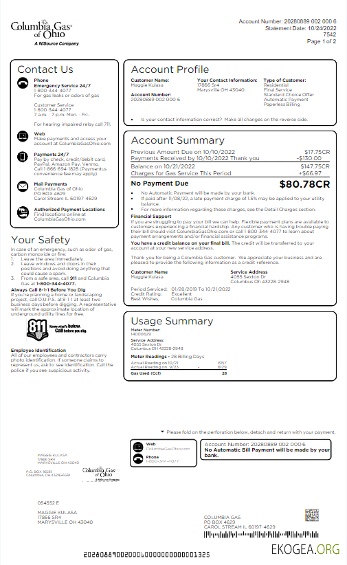 Usa Columbia gas of ohio utility bill word and pdf template